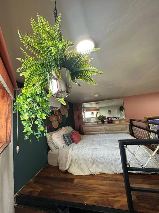 “encantador Loft” - En El Corazon De San Pedro Apartment